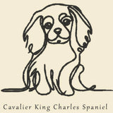 Cavalier King Charles Spaniel 