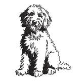 Golden Doodle 