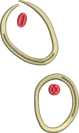 olives 