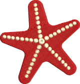starfish