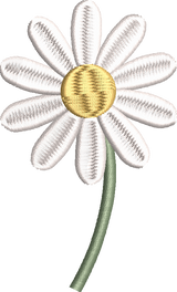 daisy