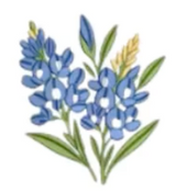 blue flowers