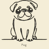 Pug