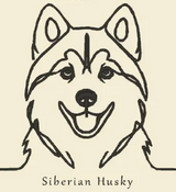 Huskey