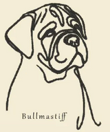 Bullmastiff