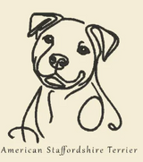 Pitbull/ Staffy
