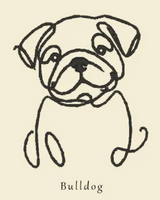 Bulldog