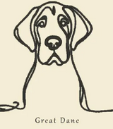 Great Dane