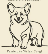 Corgi