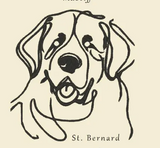 St. Bernard