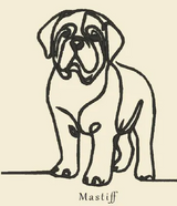 Mastiff