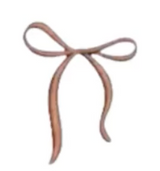 Brown bow